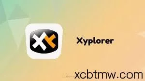 解决win11系统下XYplorer输入中文乱码问题